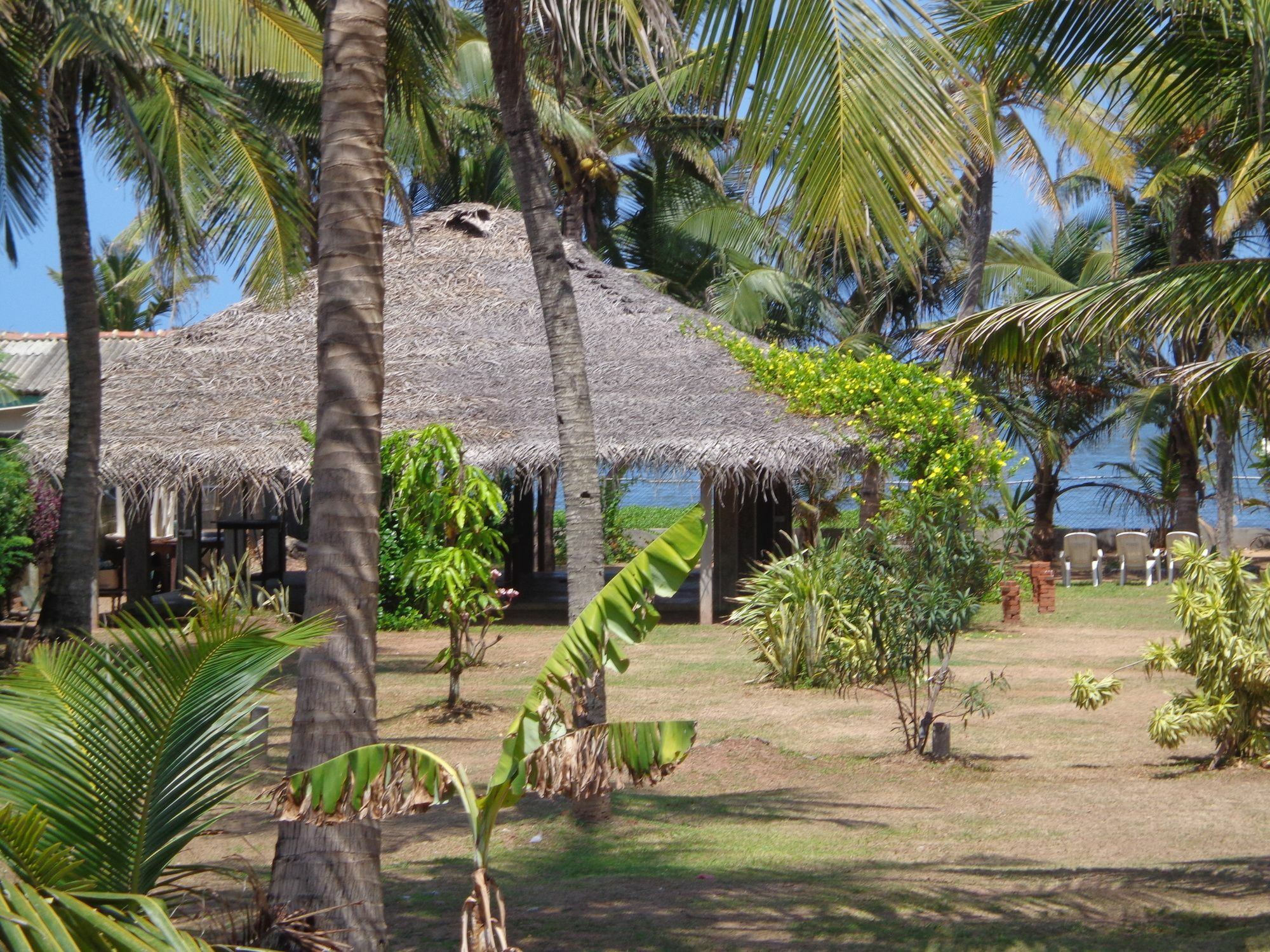 Hotel Star White - Negombo Kudapaduwa Экстерьер фото